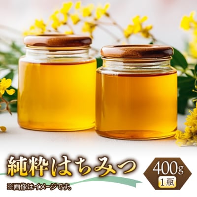 【 非加熱・抗生物質、抗菌剤等化学物質不投与 】日本みつばちの純粋はちみつ400g