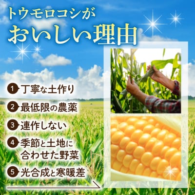 【先行受付2026年発送】生でもすごく甘い!生きた土壌で育った『とうもろこし』2Lサイズ8本
