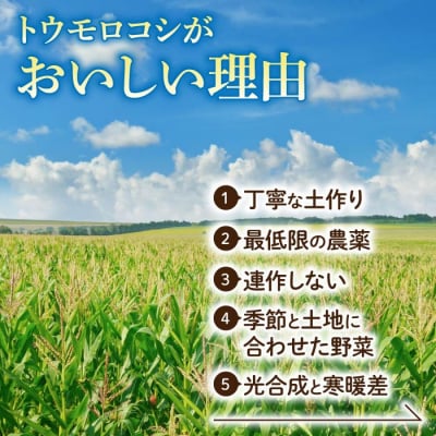 【先行受付2026年発送】生でもすごく甘い!生きた土壌で育った『とうもろこし』2Lサイズ8本
