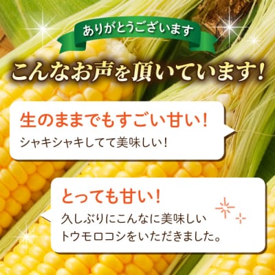【先行受付2026年発送】生でもすごく甘い!生きた土壌で育った『とうもろこし』2Lサイズ8本