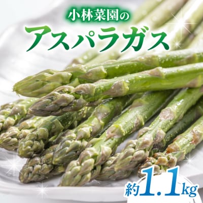 先行受付2026年発送【小林菜園】農家直送!アスパラガス1.1kg(L～3Lサイズ)