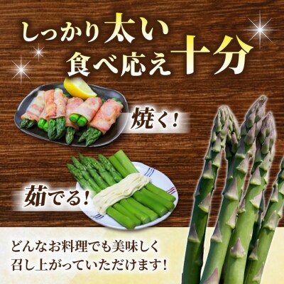 先行予約【小林菜園】農家直送!アスパラガス1.3㎏(L〜3Lサイズ)|2025年3月末以降発送
