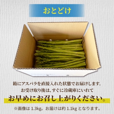 先行受付2026年発送【小林菜園】農家直送!アスパラガス1.1kg(L～3Lサイズ)