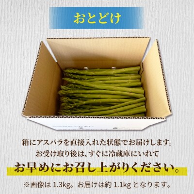 先行受付2026年発送【小林菜園】農家直送!アスパラガス1.1kg(L～3Lサイズ)