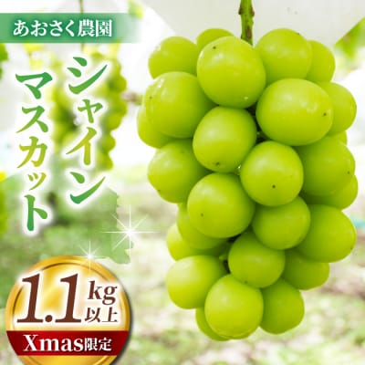 【Xmas限定!50セット限り】シャインマスカット2～3房(1.1kg以上)※12月21日22日発送