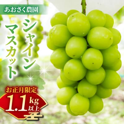 【お正月限定!50セット限り】シャインマスカット2～3房(1.1kg以上)※12月28日、29日発送