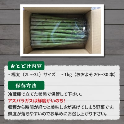 【先行受付2026年発送】農家直送!新鮮!春獲れ極太(2L～3L)アスパラ約1kg