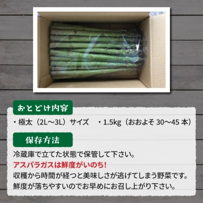 【先行受付2026年発送】農家直送!新鮮!春獲れ極太(2L～3L)アスパラ約1.5kg