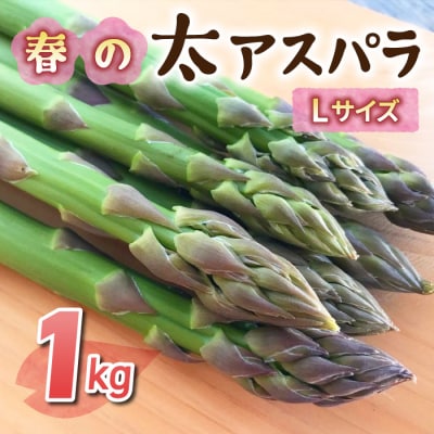 【先行受付2026年発送】農家直送!新鮮!春獲れ太(L)アスパラ約1kg(おおよそ30～40本)