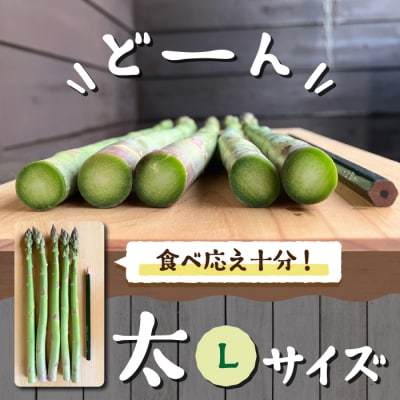 【先行受付2026年発送】農家直送!新鮮!春獲れ太(L)アスパラ約1kg(おおよそ30～40本)