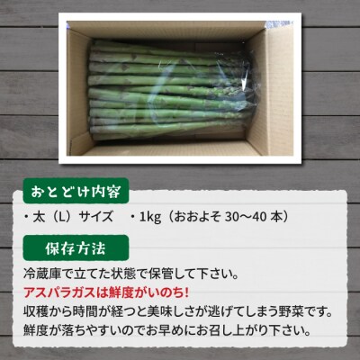 先行受付2025年発送【のららぼ農園】農家直送!新鮮!春獲れ太(L)アスパラ1kg