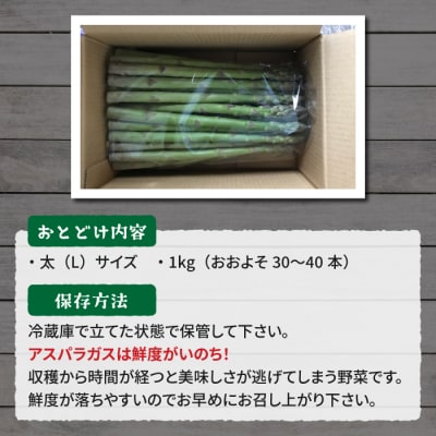 【先行受付2026年発送】農家直送!新鮮!春獲れ太(L)アスパラ約1kg(おおよそ30～40本)