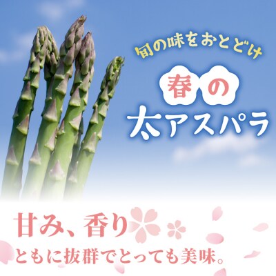 先行受付2025年発送【のららぼ農園】農家直送!新鮮!春獲れ太(L)アスパラ1.5kg