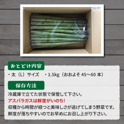 先行受付2025年発送【のららぼ農園】農家直送!新鮮!春獲れ太(L)アスパラ1.5kg