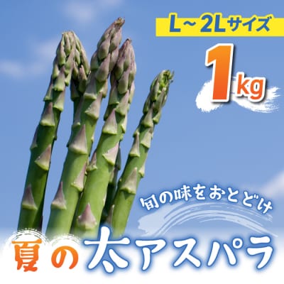 【先行受付2026年発送】農家直送!新鮮!夏獲れ太(L～2L)アスパラ約1kg(およそ25～35本)