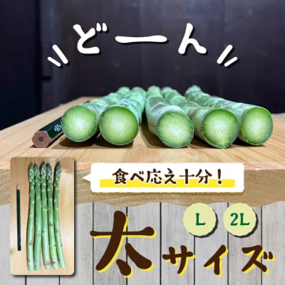 【先行受付2026年発送】農家直送!新鮮!夏獲れ太(L～2L)アスパラ約1kg(およそ25～35本)