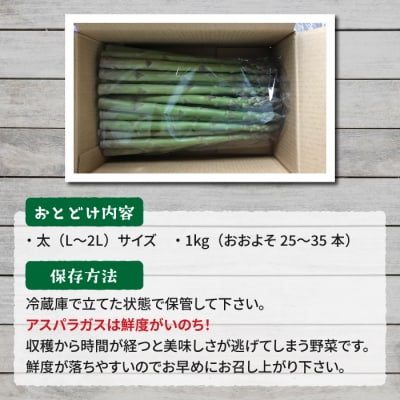 【先行受付2026年発送】農家直送!新鮮!夏獲れ太(L～2L)アスパラ約1kg(およそ25～35本)