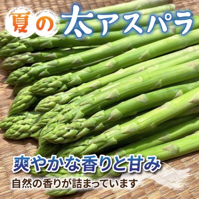 先行受付2025年発送予定【のららぼ農園】農家直送!新鮮!夏獲れ太(L〜2L)アスパラ1.5kg