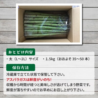 先行受付2025年発送予定【のららぼ農園】農家直送!新鮮!夏獲れ太(L〜2L)アスパラ1.5kg