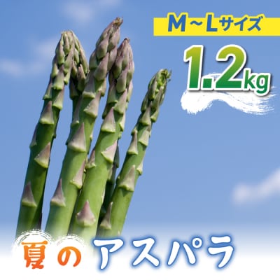 【先行受付2026年発送】農家直送!新鮮!夏獲れ細(M～L)アスパラ約1.2kg