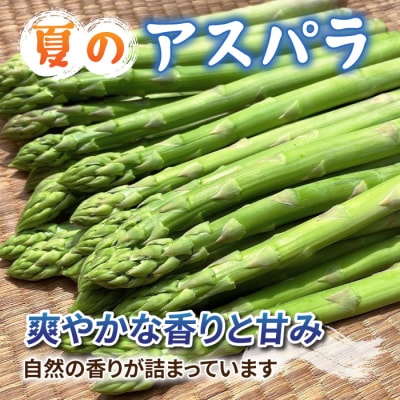 【先行受付2026年発送】農家直送!新鮮!夏獲れ細(M～L)アスパラ約1.2kg