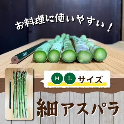 【先行受付2026年発送】農家直送!新鮮!夏獲れ細(M～L)アスパラ約1.2kg
