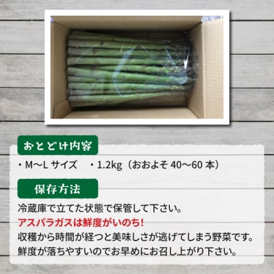 【先行受付2026年発送】農家直送!新鮮!夏獲れ細(M～L)アスパラ約1.2kg
