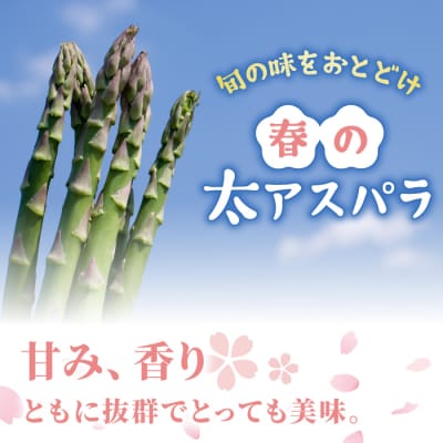 先行受付2026年発送【2回定期便】農家直送!新鮮!春獲れ・夏獲れ　太アスパラ各1kg(合計2kg)