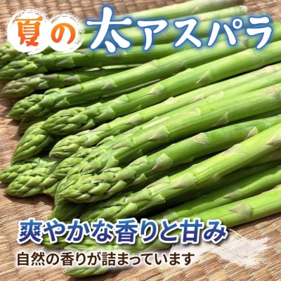 先行受付2026年発送【2回定期便】農家直送!新鮮!春獲れ・夏獲れ　太アスパラ各1kg(合計2kg)