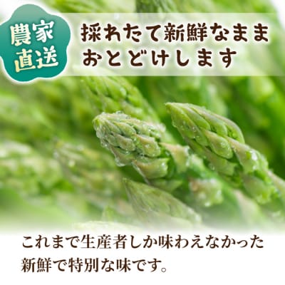 先行受付2026年発送【2回定期便】農家直送!新鮮!春獲れ・夏獲れ　太アスパラ各1kg(合計2kg)