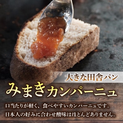 【12回定期便】健康的でシンプルな味わい「わざわざのおまかせ薪窯パンセット」