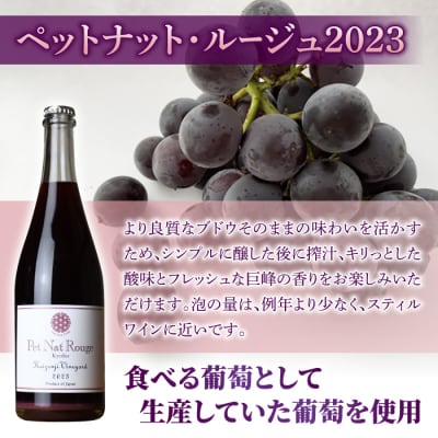 ペットナット・ルージュ2023 1本【ヨネファーム東御】