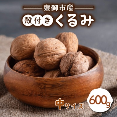 信濃くるみ殻付き600g(中サイズ)【長野県東御市産ブランド】某テレビ番組でも紹介♪令和7年産