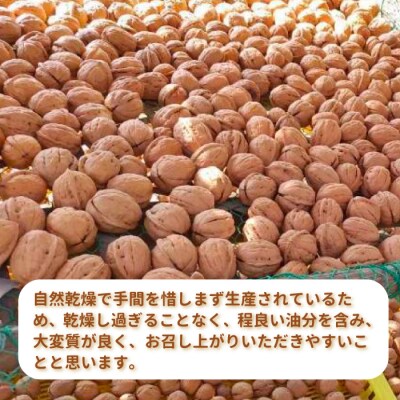 信濃くるみ殻付き600g(中サイズ)【長野県東御市産ブランド】某テレビ番組でも紹介♪令和7年産