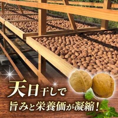 【アルファーム】令和7年産 信濃くるみ　剥きタイプ(300g)※150g×2袋 
