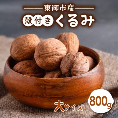 信濃くるみ 殻付き 800g(大サイズ) 【長野県東御市産ブランド】某テレビ局でも紹介♪ 令和6年産