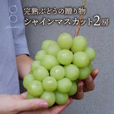 先行受付2025年発送【glasses farm】完熟ぶどうの贈り物(シャインマスカット2房)