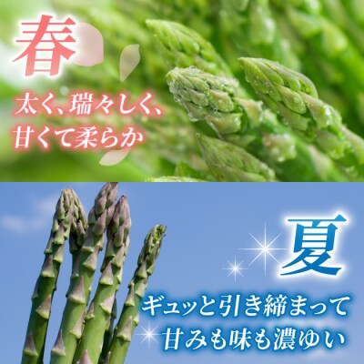 先行受付【里山JAPAN】甘くて柔らか 生きた土壌で育った『春・夏グリーンアスパラ』各1kg2回定期