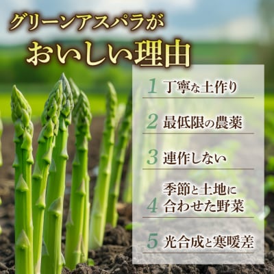 先行受付【里山JAPAN】甘くて柔らか 生きた土壌で育った『春・夏グリーンアスパラ』各1kg2回定期