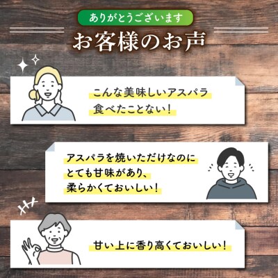 先行受付【里山JAPAN】甘くて柔らか 生きた土壌で育った『春・夏グリーンアスパラ』各1kg2回定期