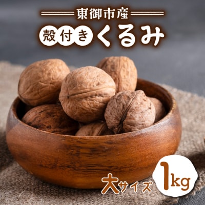 信濃くるみ殻付き1kg(大サイズ)【長野県東御市産ブランド】某テレビ番組でも紹介♪ 令和7年産 新物