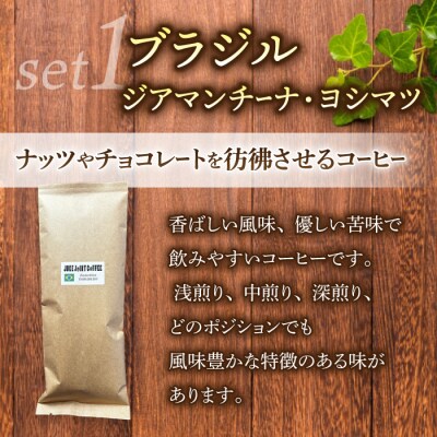 【豆のまま】産地違いコーヒー豆　2種類飲み比べ各200g|テルミナリアコーヒー