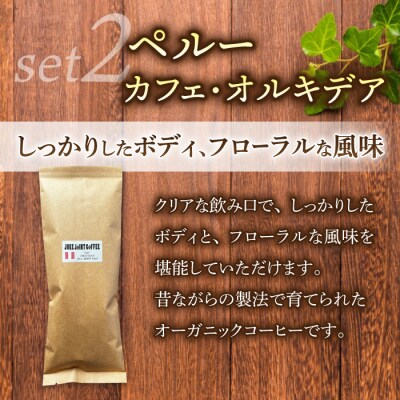 【豆のまま】産地違いコーヒー豆　2種類飲み比べ各200g|テルミナリアコーヒー