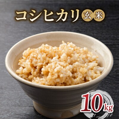 令和6年産 新米!有機肥料使用のコシヒカリ 玄米 10kg(5kg×2袋)|長野県東御市