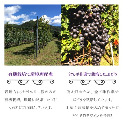 東御市産赤ワイン HIRO 飲み比べセット(2023,2019)|メルロー