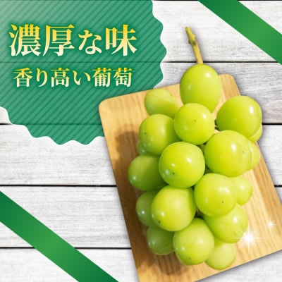 シャインマスカット1kg以上(2～3房)|御牧原おいしい農園　※2026年10月上旬～発送予定