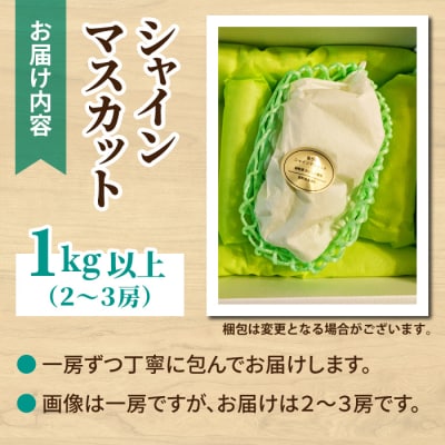 シャインマスカット1kg以上(2～3房)|御牧原おいしい農園　※2026年10月上旬～発送予定