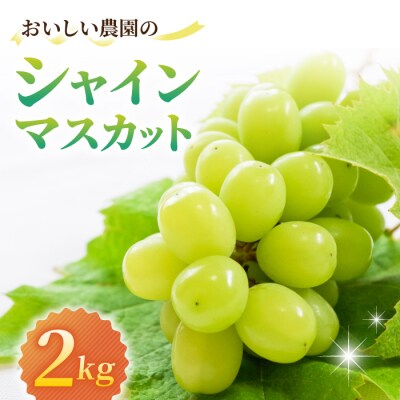 【先行受付2025年発送】シャインマスカット約2kg(4~6房)|御牧原おいしい農園