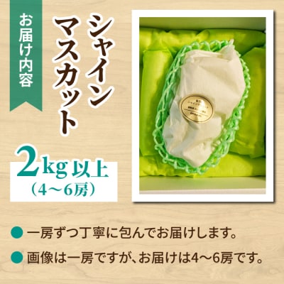 シャインマスカット2kg以上(4～5房)|御牧原おいしい農園※2026年10月上旬以降順次発送