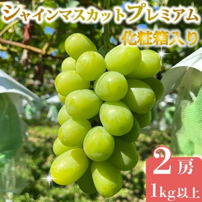 【先行受付2026年発送】シャインマスカット プレミアム 2房、1kg以上|Jardin Omino